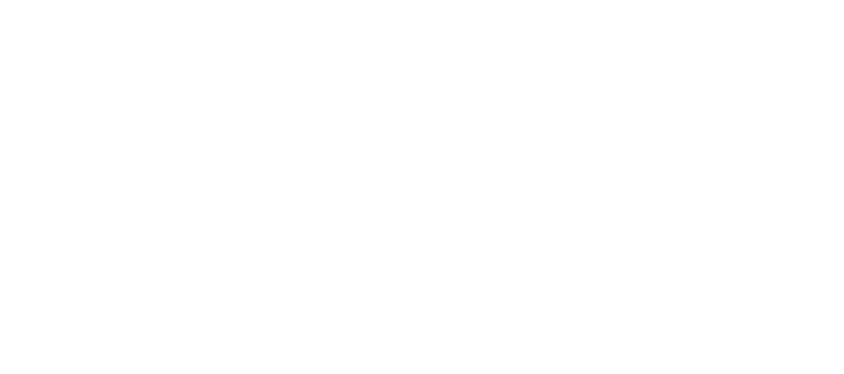 Executive Home Care of South-East Tampa & VitalPath Strategies