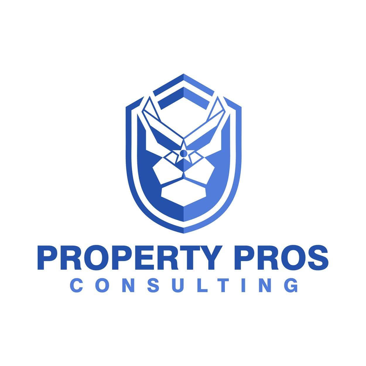 Property Pros Consulting